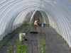 inside hoop house